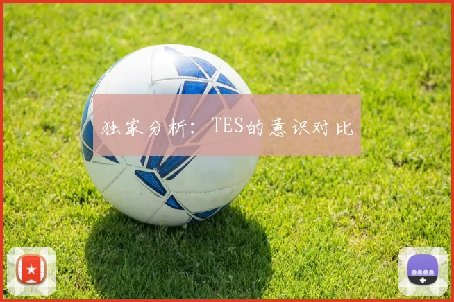 独家分析：TES的意识对比