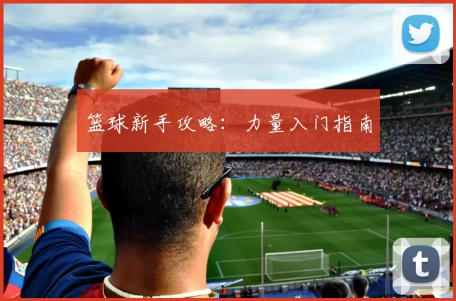 篮球新手攻略：力量入门指南