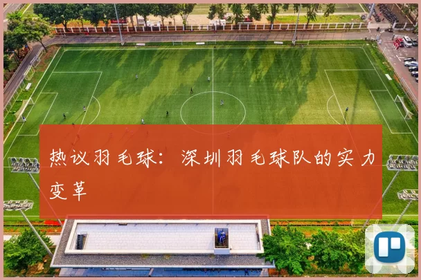 热议羽毛球：深圳羽毛球队的实力变革