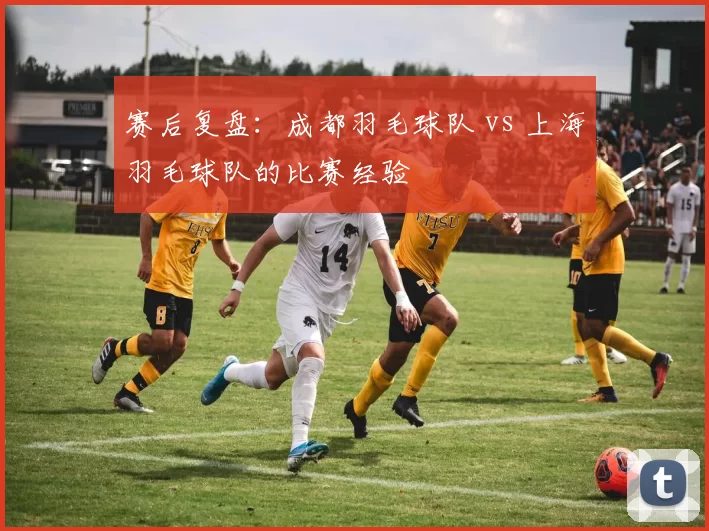 赛后复盘：成都羽毛球队 vs 上海羽毛球队的比赛经验