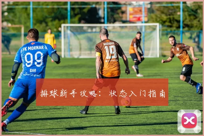 排球新手攻略：状态入门指南